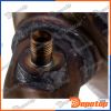 Filtres à Particules Diesel EURO5 pour ALFA ROMEO | DPF-AR-002, 73037